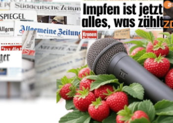 Meinungsvielfalt in Gefahr? 41 Prozent der deutschen Journalisten bekennen sich zu den Grünen